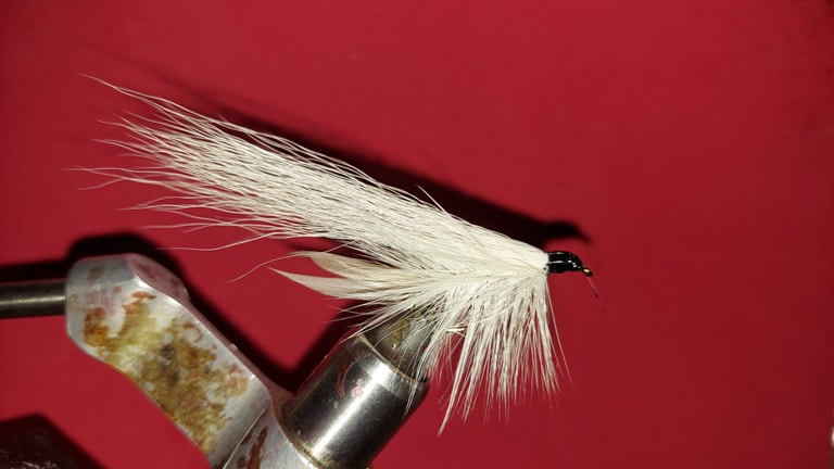 Shenk's White Streamer